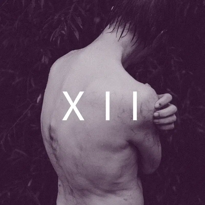 Akte XII
