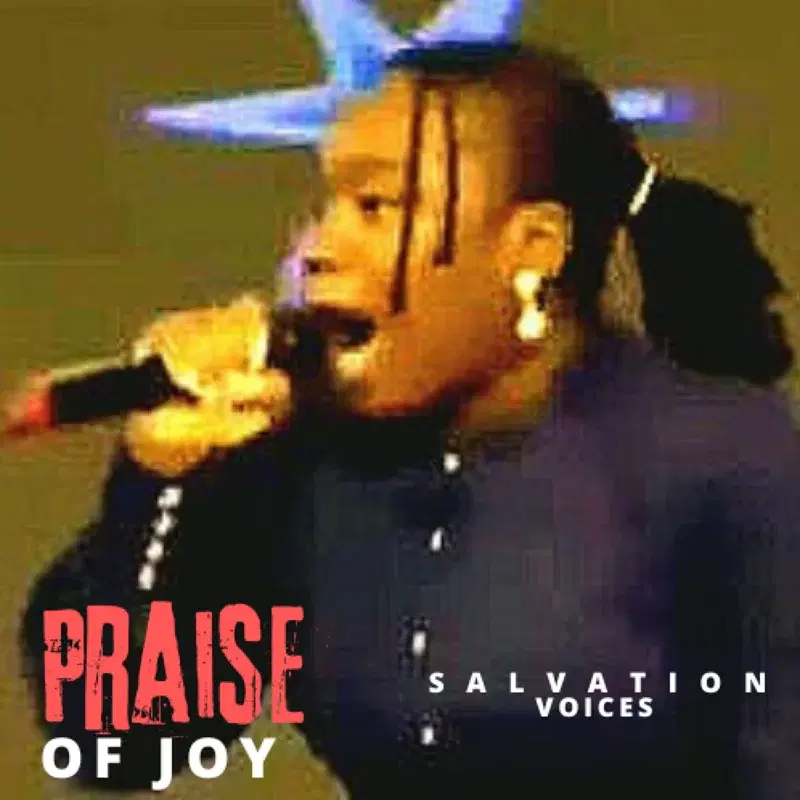Praise of Joy