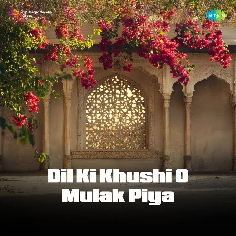 Dil Ki Khushi O Mulak Piya