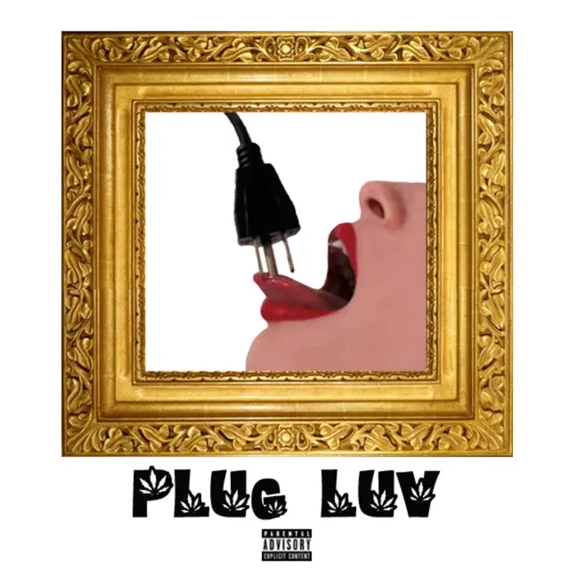 Plug Luv