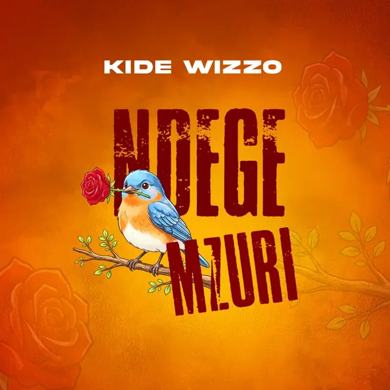 Ndege Mzuri