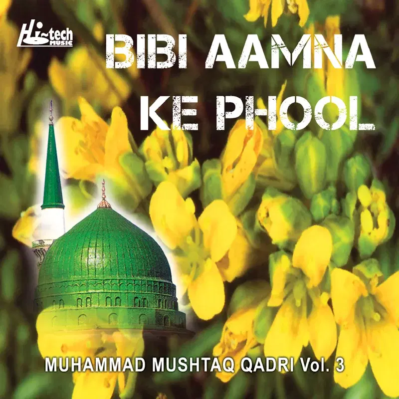 Bibi Aamna Ke Phool Vol. 3 - Islamic Naats