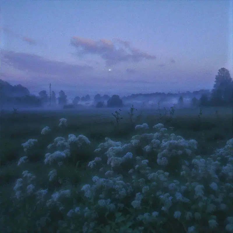 lost in haze