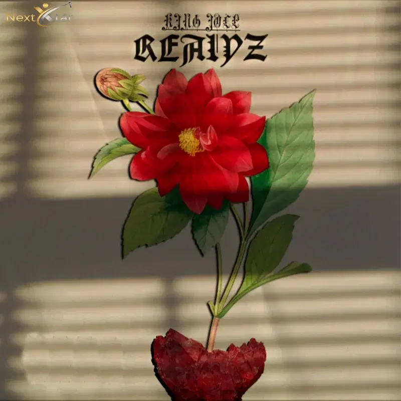 Realyz