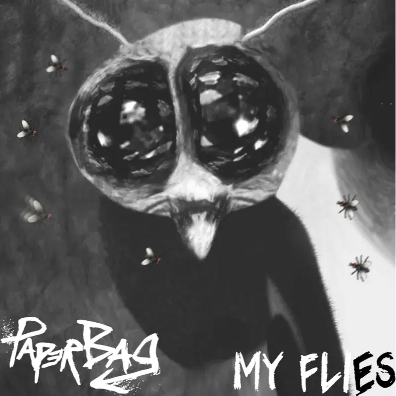 My Flies