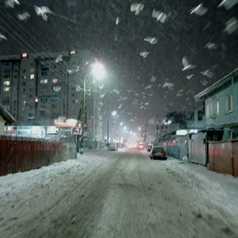 BLIZZARD