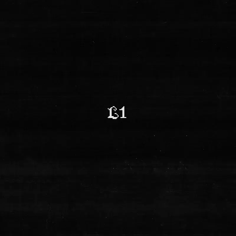 L1