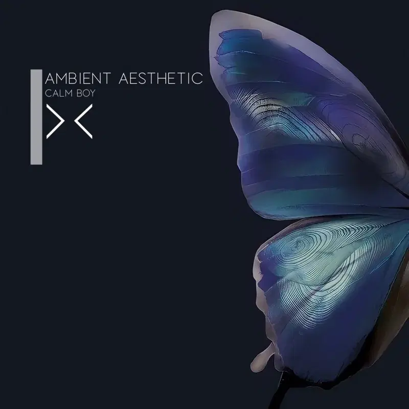 Ambient Aesthetic