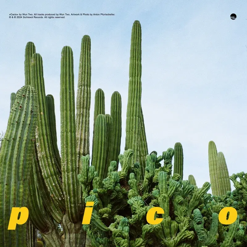 pico