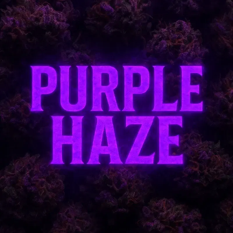 Purple Haze