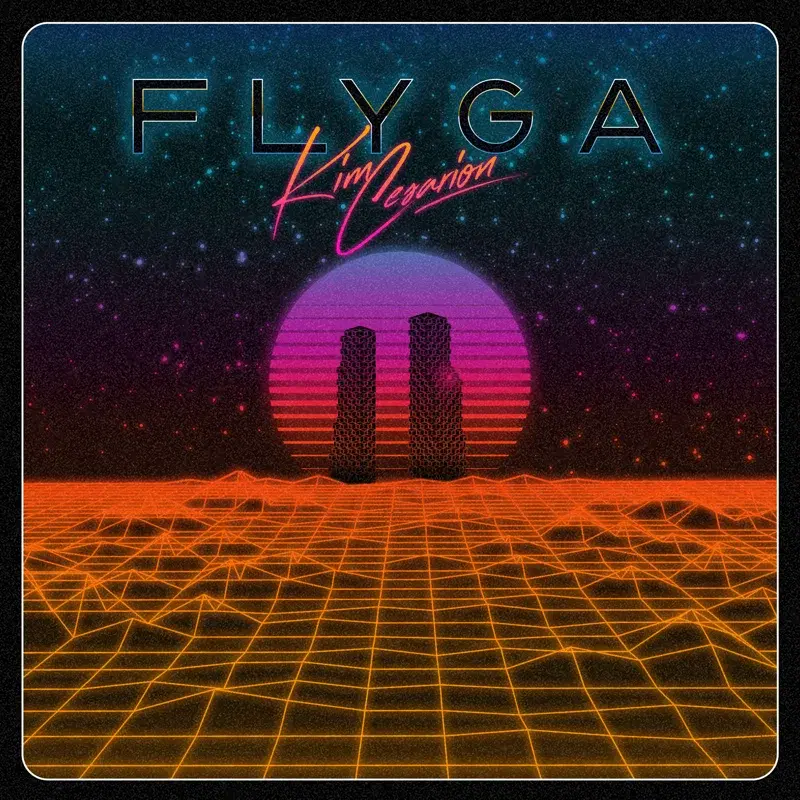 Flyga