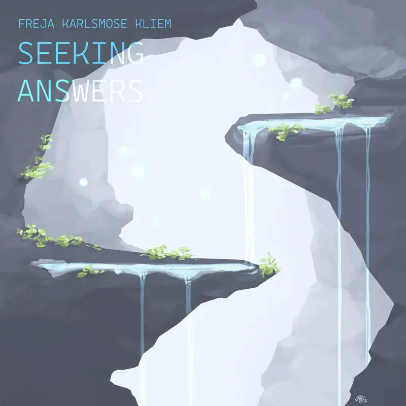 Seeking Answers