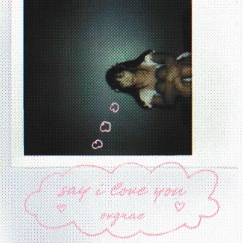 Say I Love You