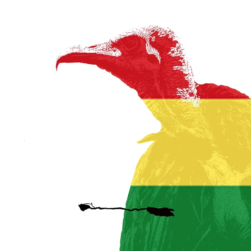 Culture Vulture