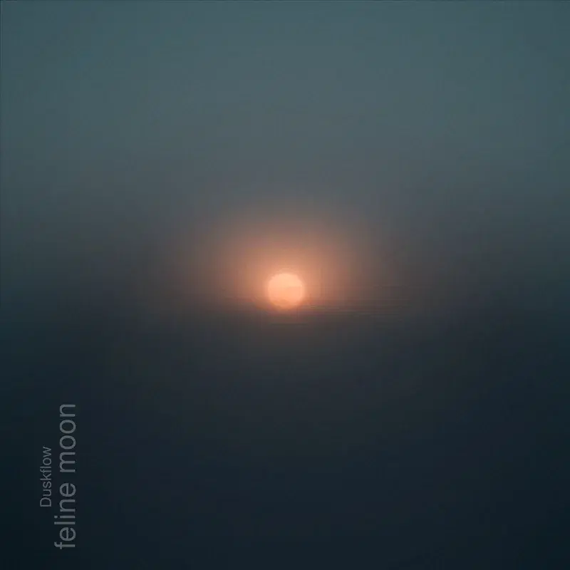 feline moon