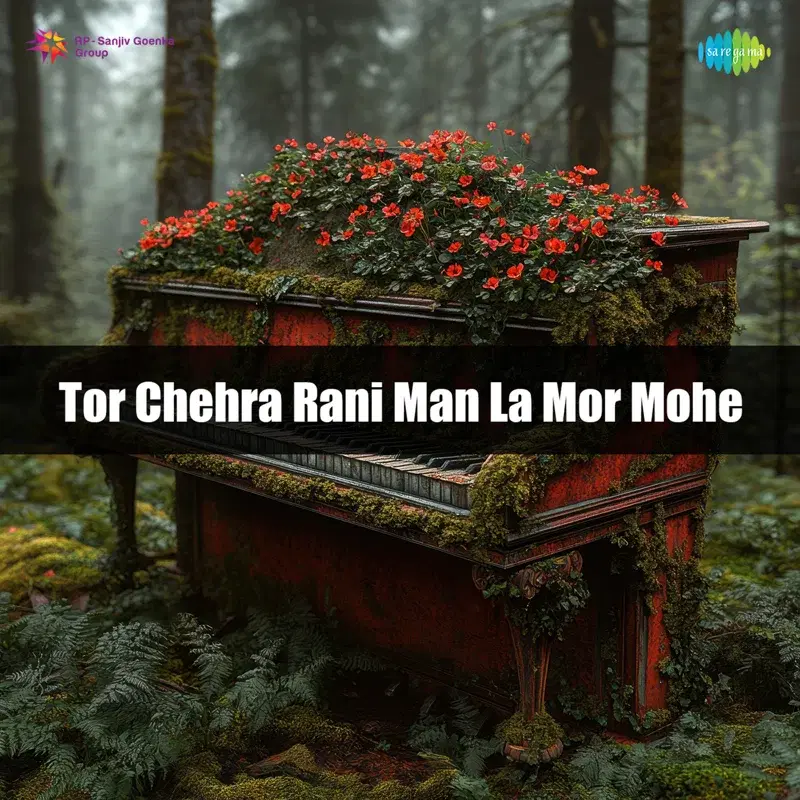 Tor Chehra Rani Man La Mor Mohe