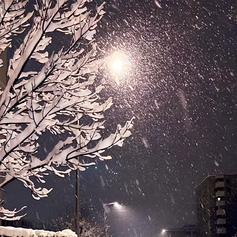 snow around me