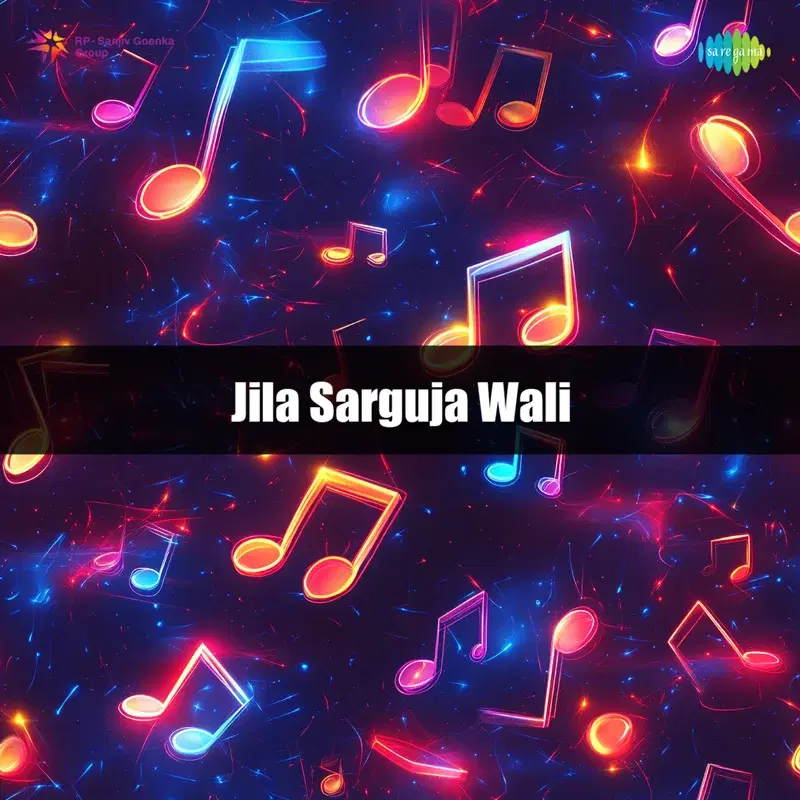 Jila Sarguja Wali
