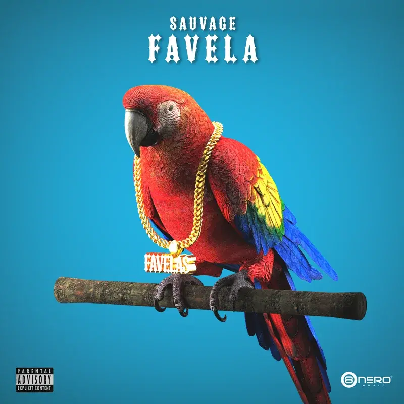Favela