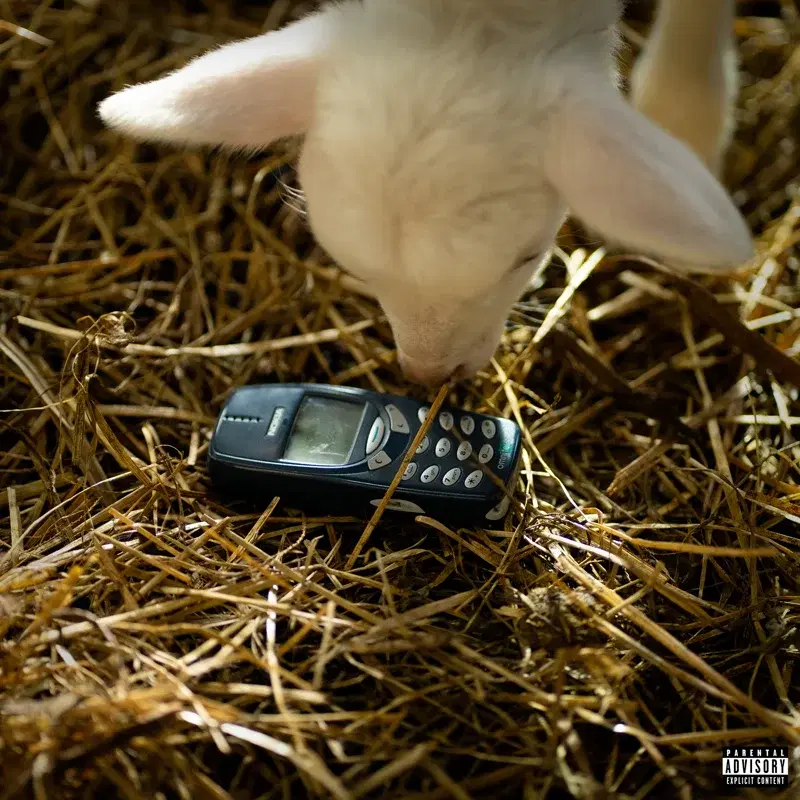 T9