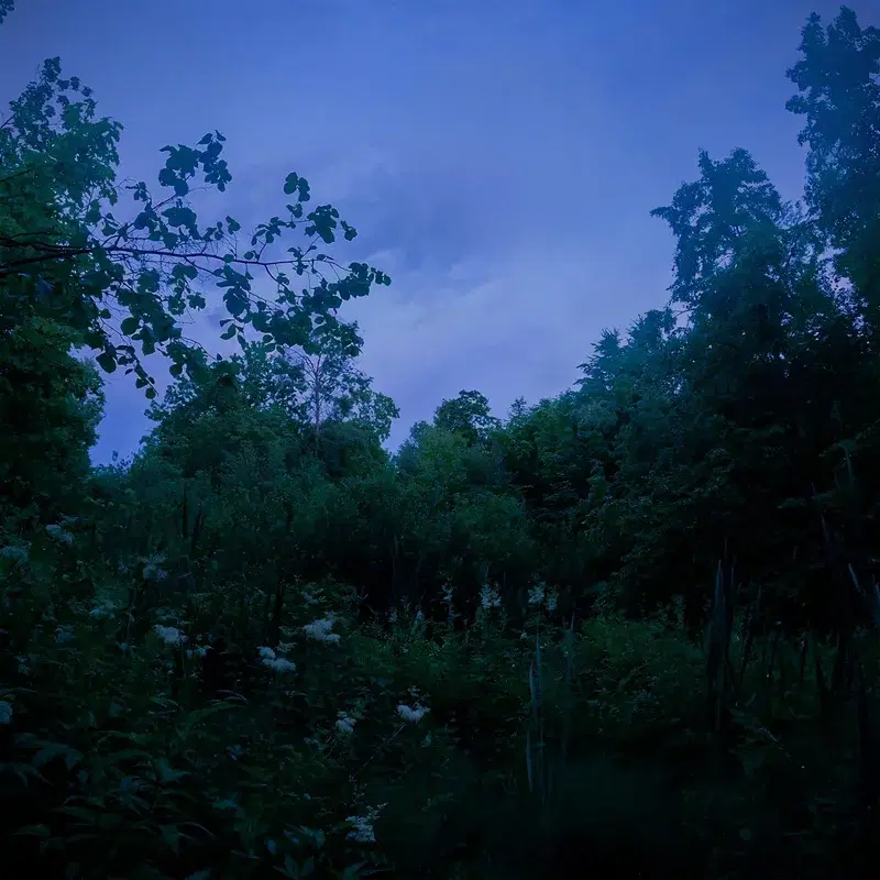 homeland