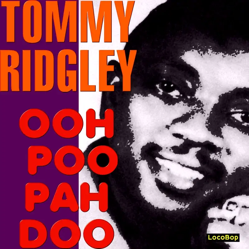 Ooh Poo Pah Doo