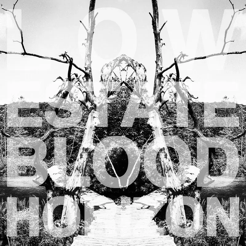 Blood Horizon