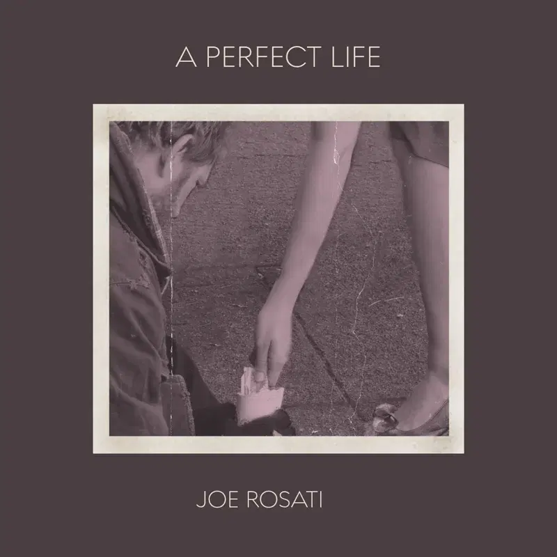 A Perfect Life