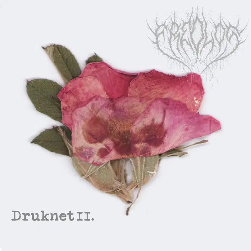 Druknet II.