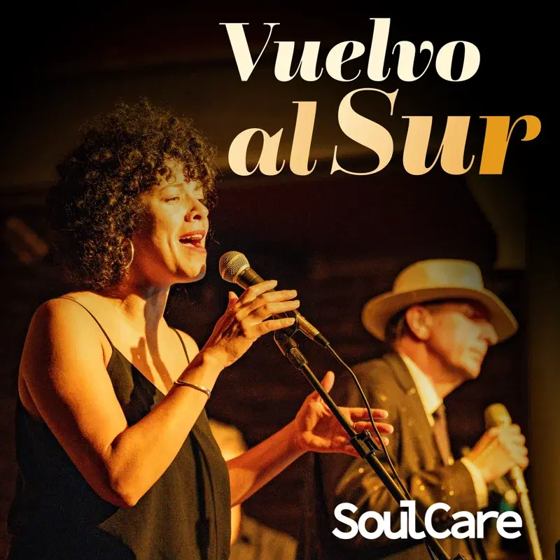 Vuelvo al sur