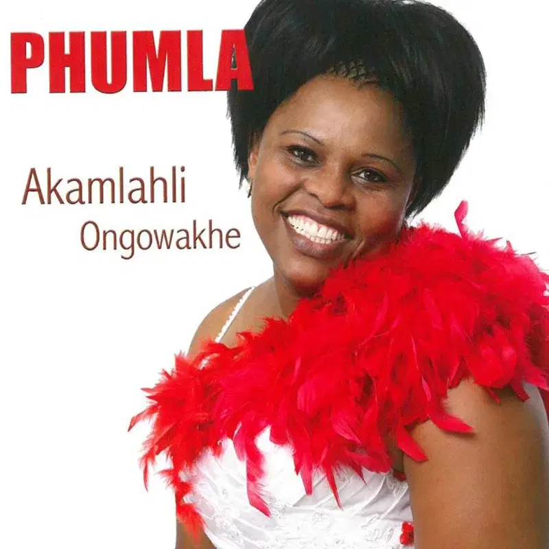 Akamlahli ongowakhe