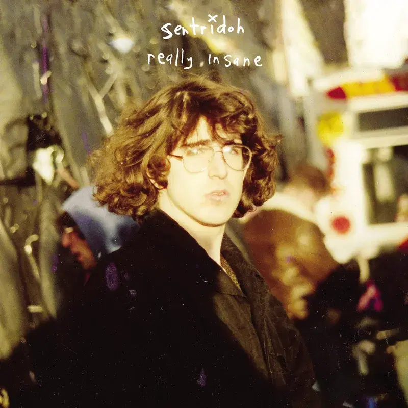 Really Insane - A Lou Barlow Compendium