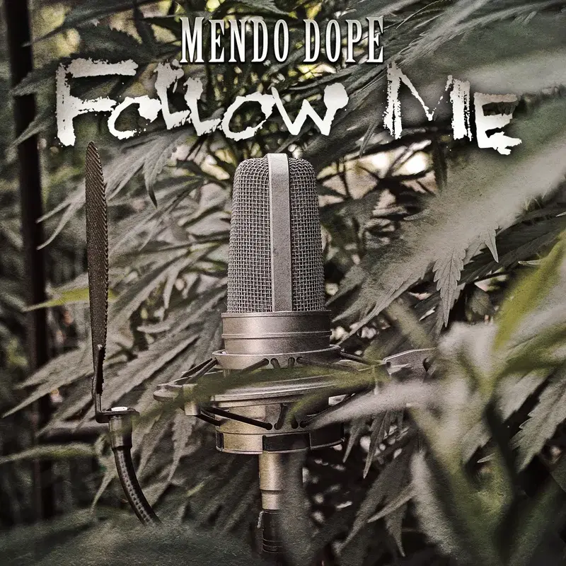 Follow Me