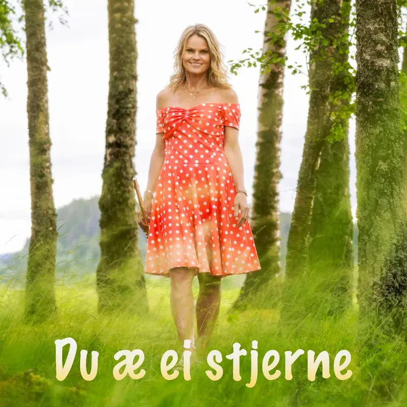 Du æ ei stjerne