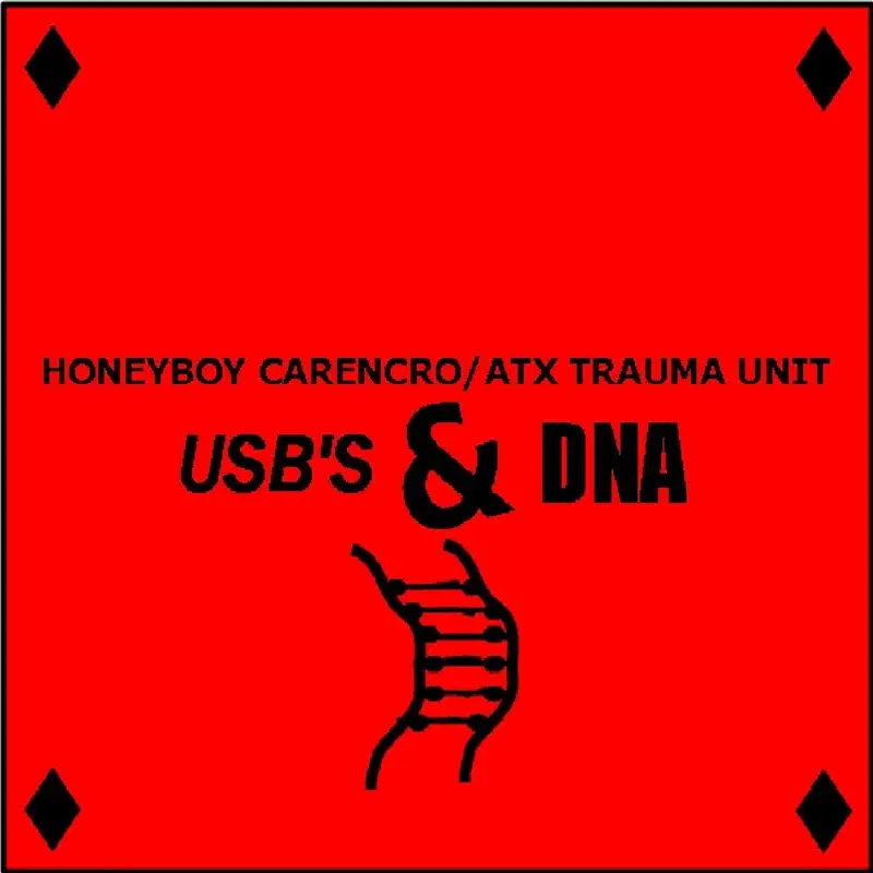 Usb's & DNA