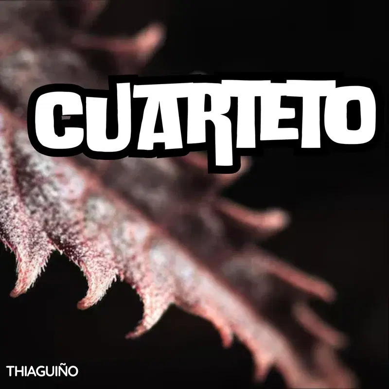 CUARTETO