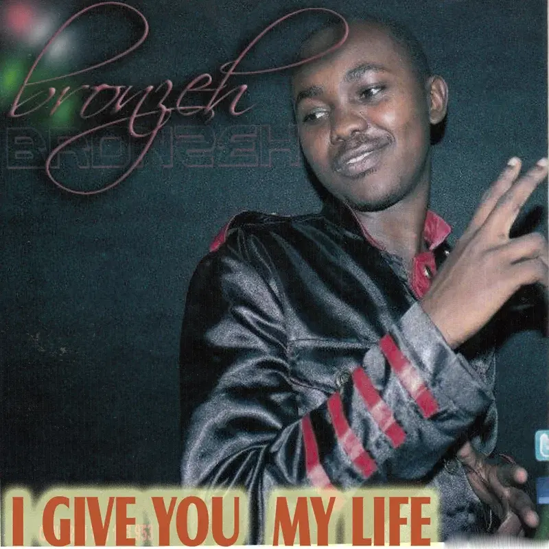 I Give You My Life - Single