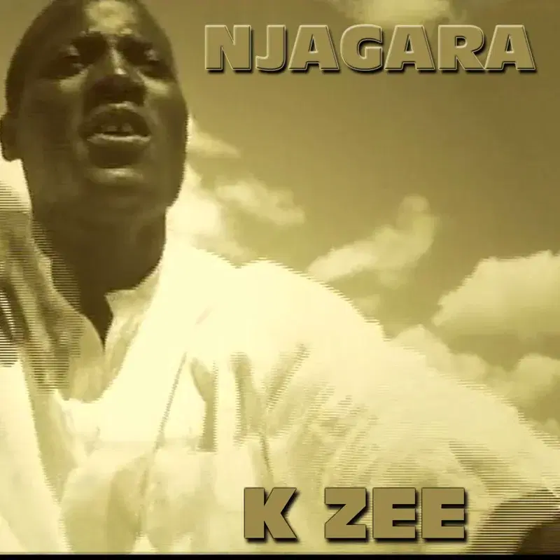 Njagara - Single