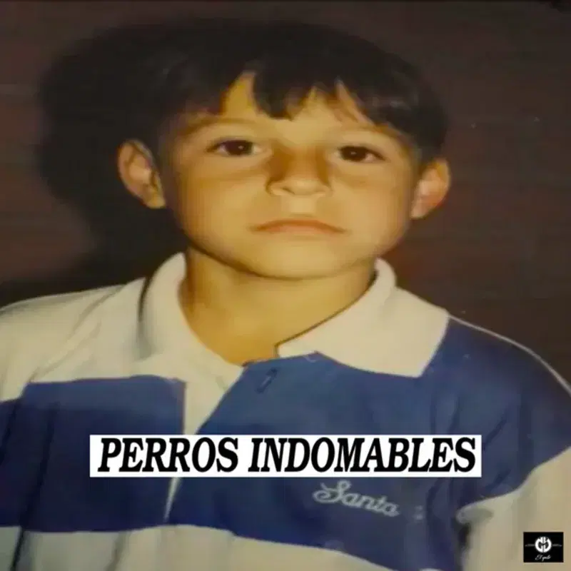 Perros Indomables