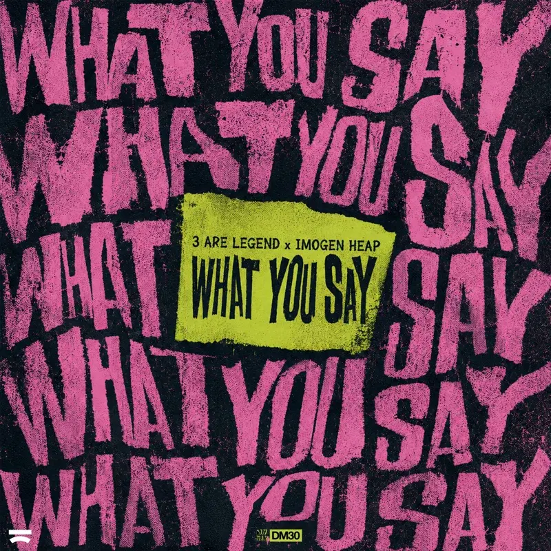 What You Say