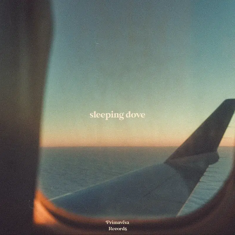 Sleeping Dove