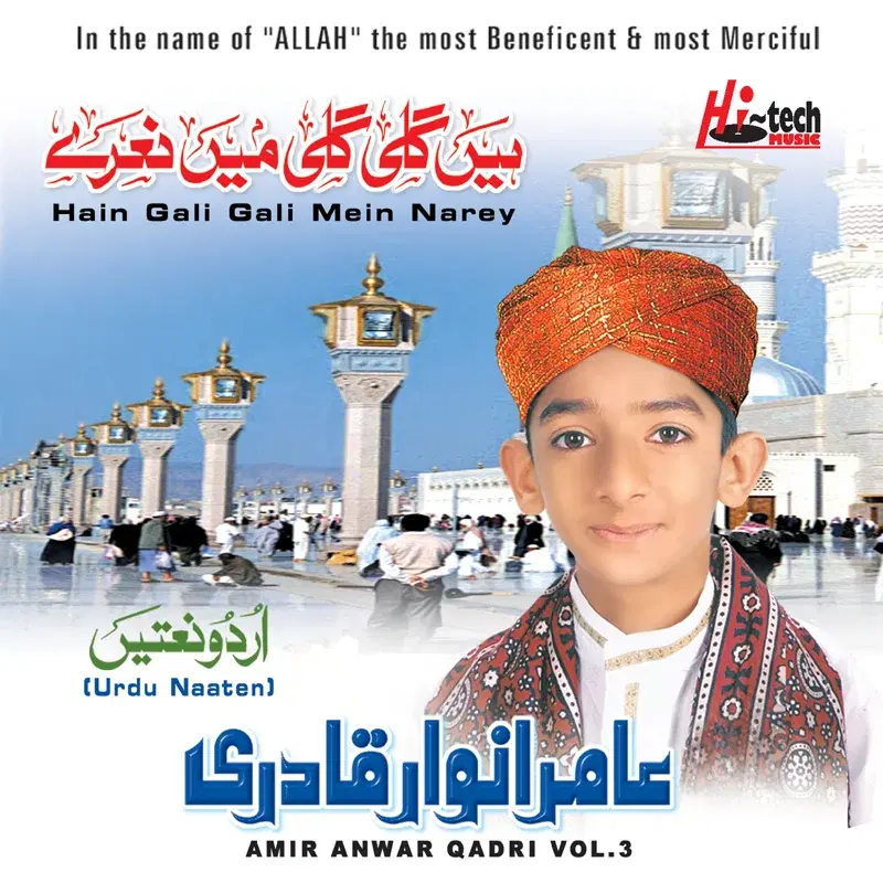 Hain Gali Gali Mein Narey Vol. 3 - Islamic Naats