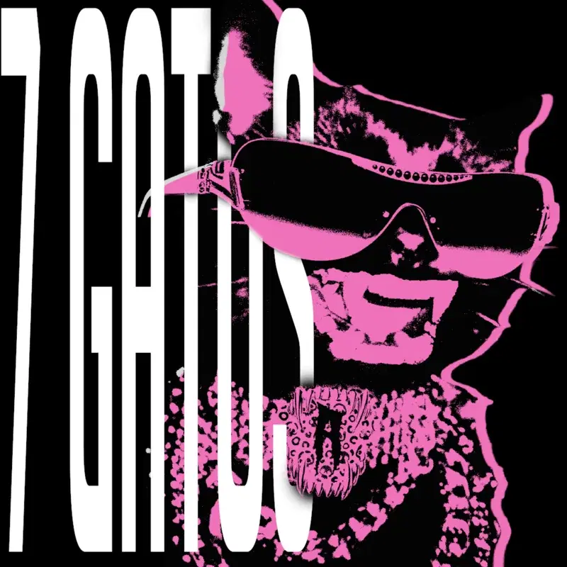 7GATOS