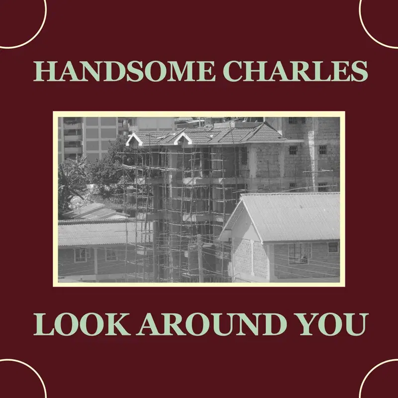 Look Around You