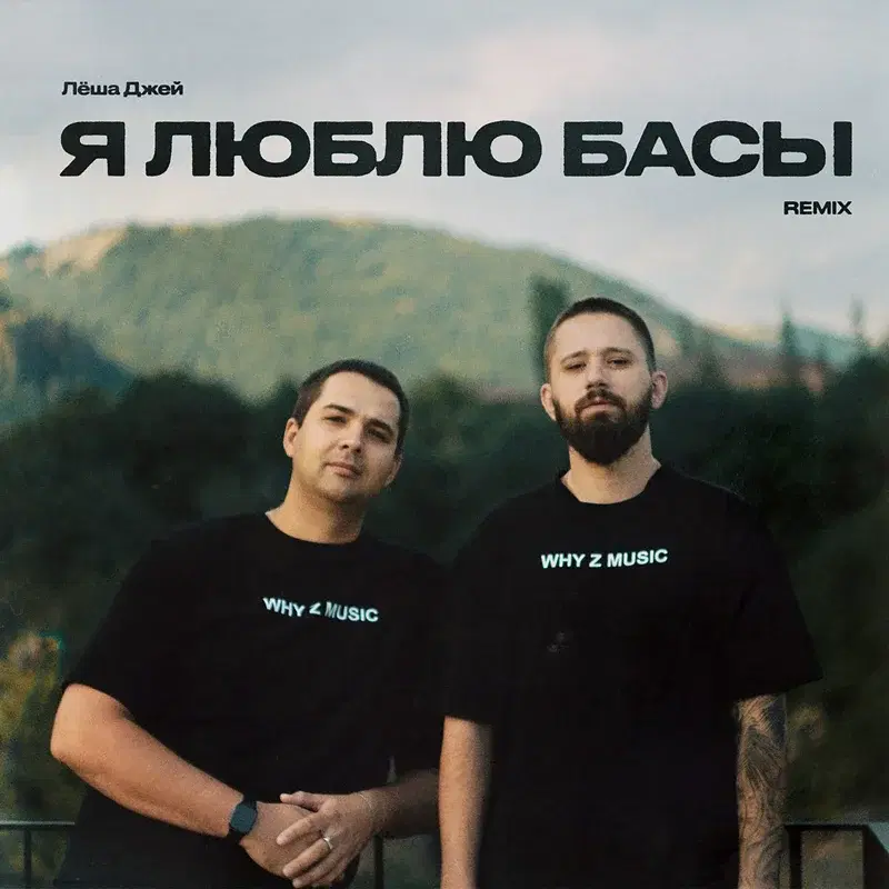 Я люблю басы