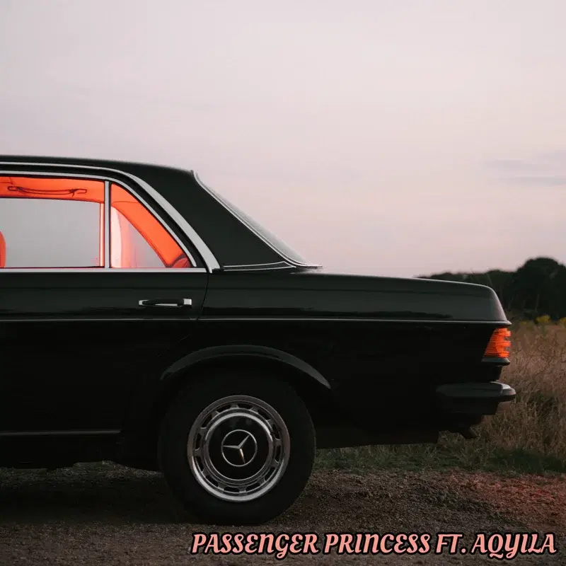 Passenger Princess