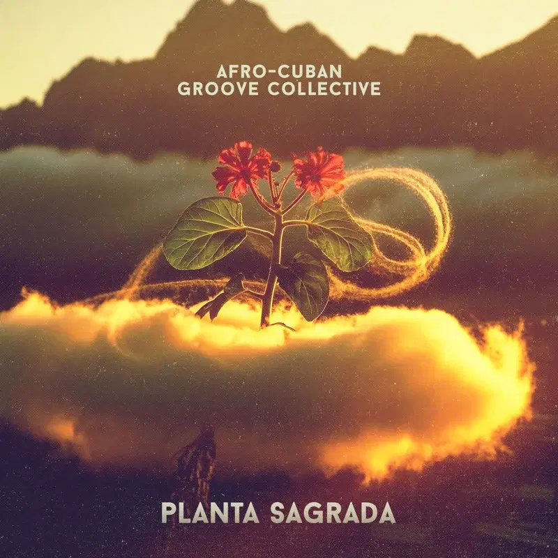 Planta Sagrada