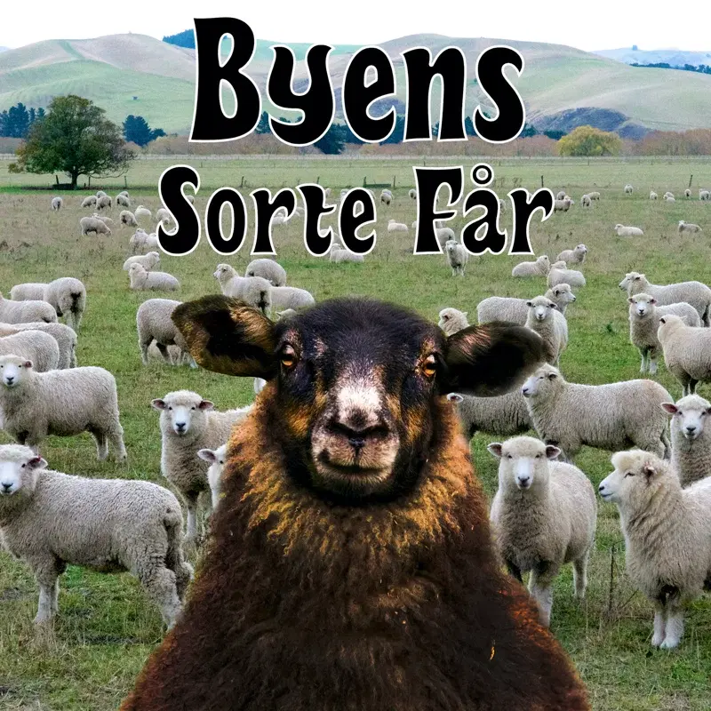 Byens Sorte Får