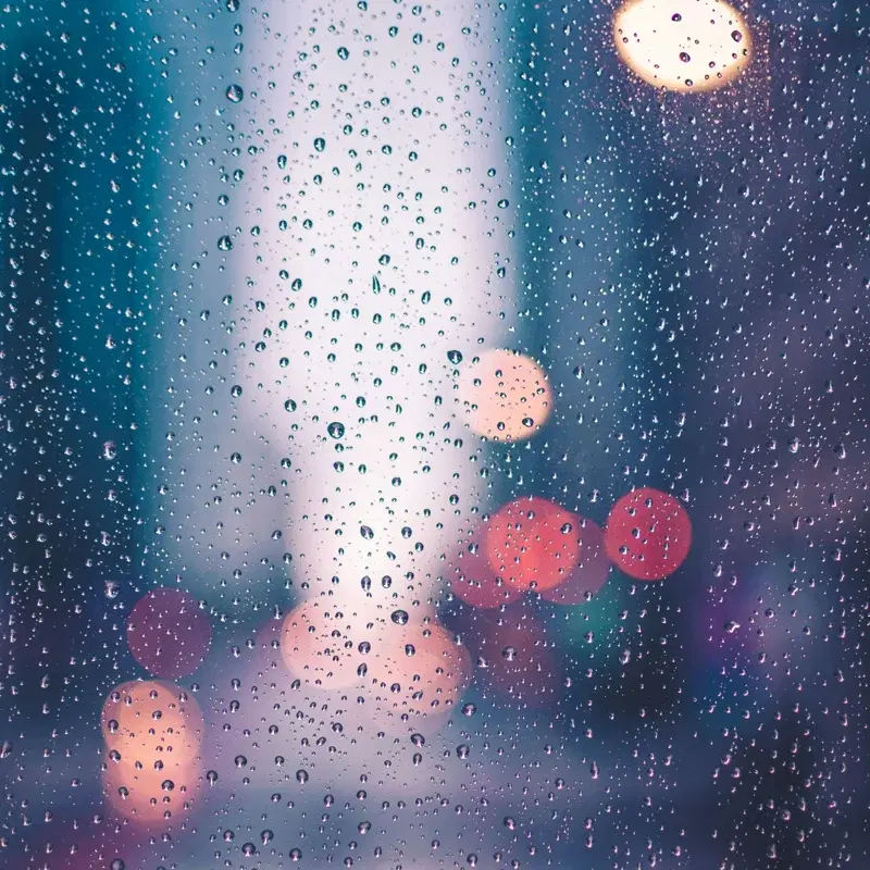 Rain