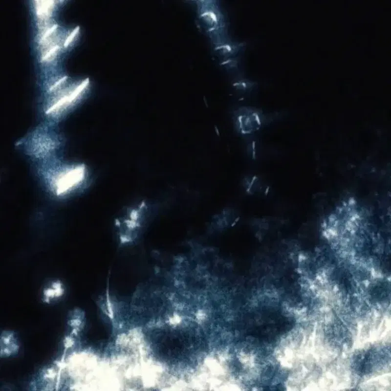 Black Pegasus